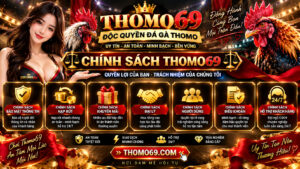 chính sách thomo69