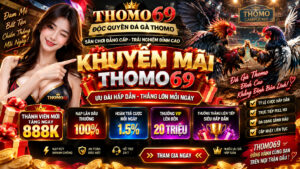 khuyến mãi thomo69