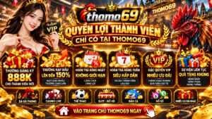 trãi nghiệm người dùng tại thomo69
