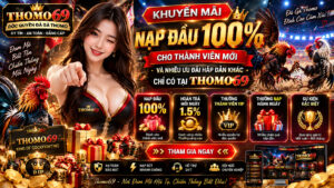 khuyến mãi thomo69