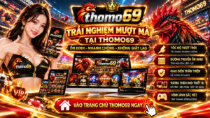 trãi nghiệm người dùng tại thomo69