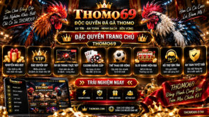 chính sách thomo69